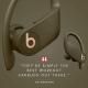 Beats Powerbeats Pro Bluetooth True Wireless Earphones - Moss