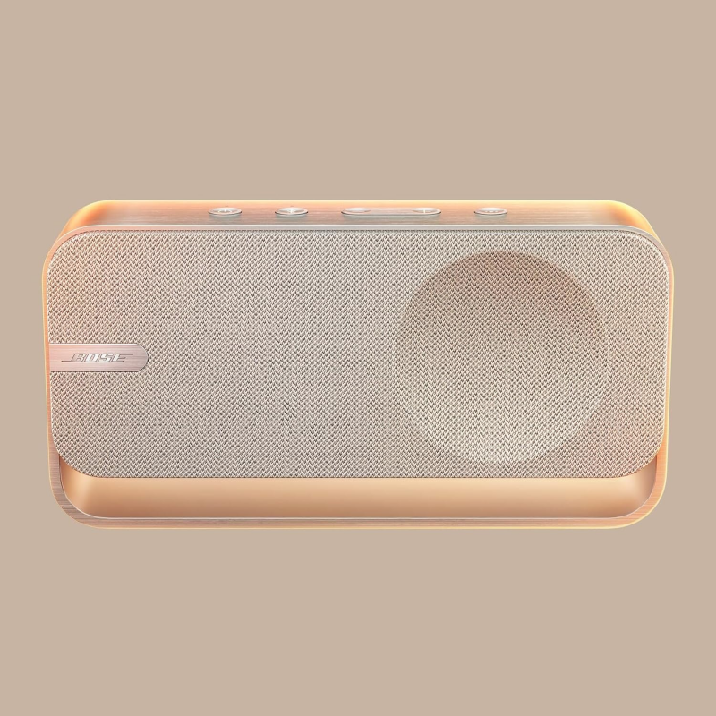 Bose SoundLink Home Speaker - Light Silver