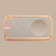 Bose SoundLink Home Speaker - Light Silver