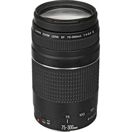 Canon EF 75-300mm F4.0-5.6 III Lens